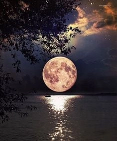 Teksty z obrazami - Na nocnym niebie
księżyc wisi magiczny
 samotny bardzo - solange1969
